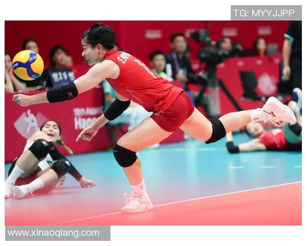 独家解读杭州排球队实力对比及未来发展潜力分析MBA