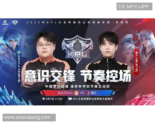 王者荣耀深度解析：TES战队团队协作背后的秘密与策略探讨